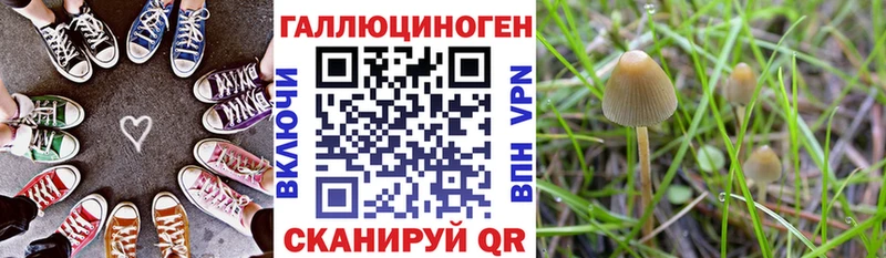 Галлюциногенные грибы прущие грибы  Шадринск 