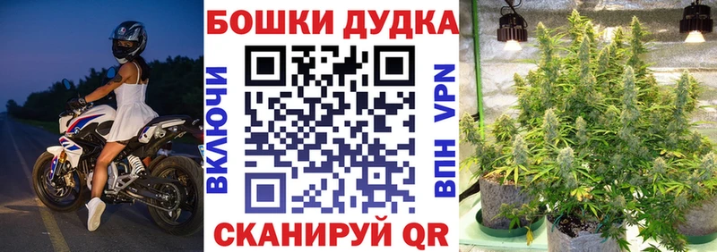 Канабис планчик  OMG как войти  Шадринск 